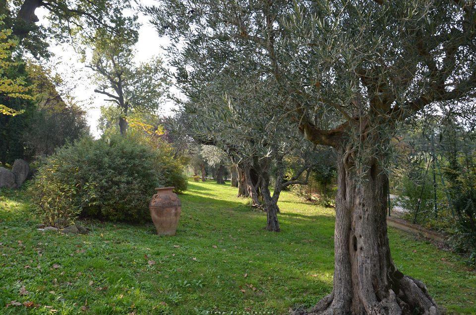 לינה וארוחת בוקר סן סברינו מארקה Casale Il Cerqueto מראה חיצוני תמונה