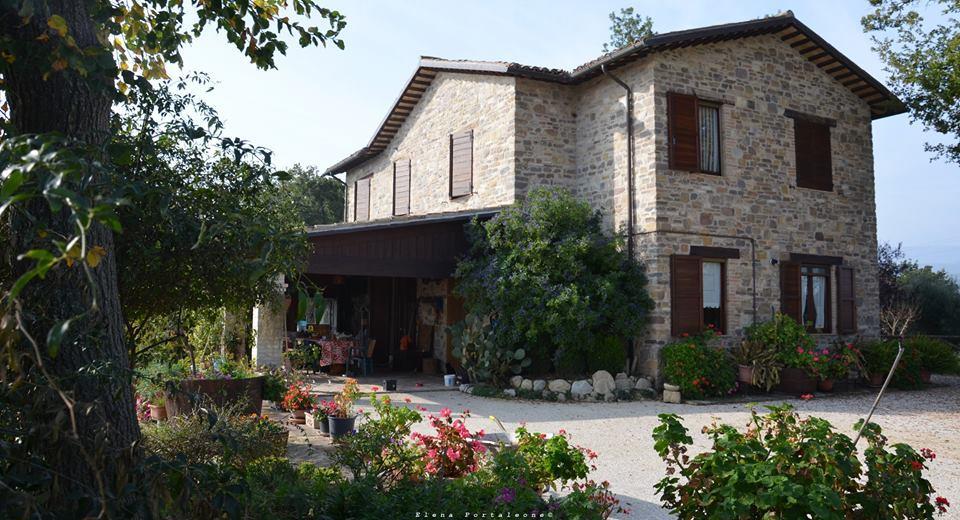 לינה וארוחת בוקר סן סברינו מארקה Casale Il Cerqueto מראה חיצוני תמונה